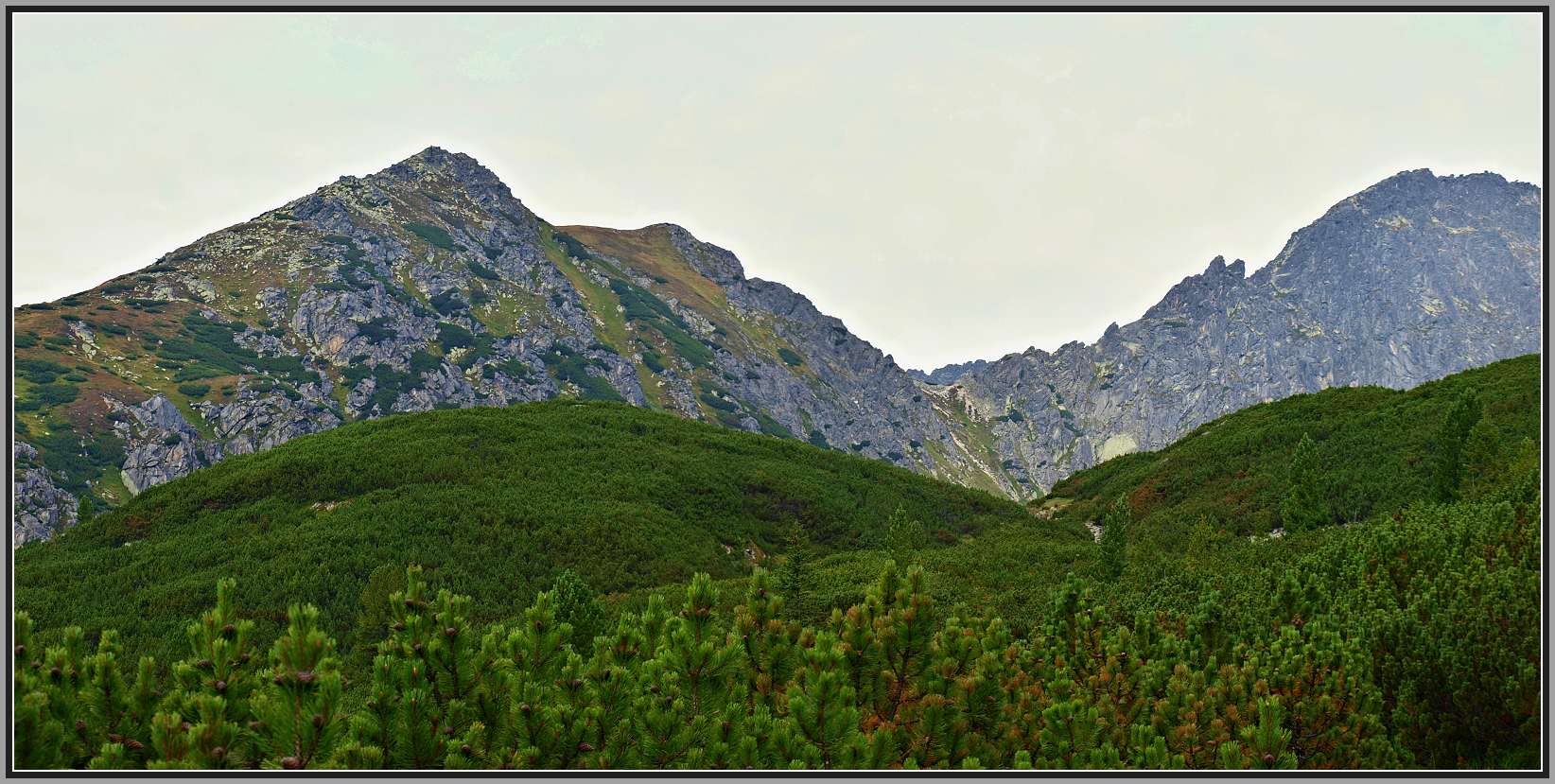 Furkotská dolina I.